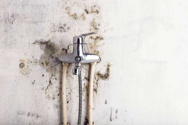 Best Mold Testing  in Molalla, OR