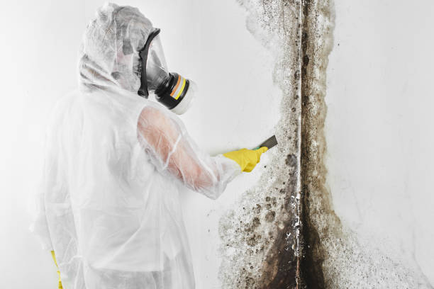 Best Residential Mold Removal  in Molalla, OR