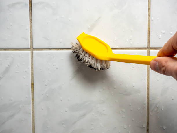 Best Attic Mold Removal  in Molalla, OR
