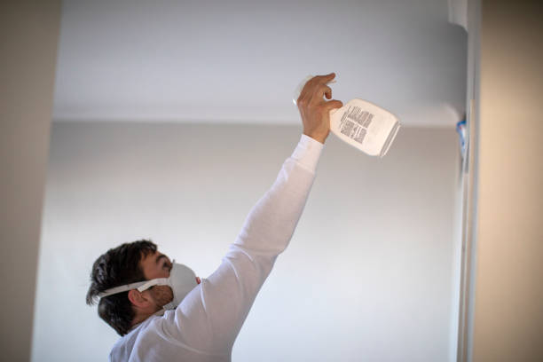 Best Local Mold Removal Service  in Molalla, OR
