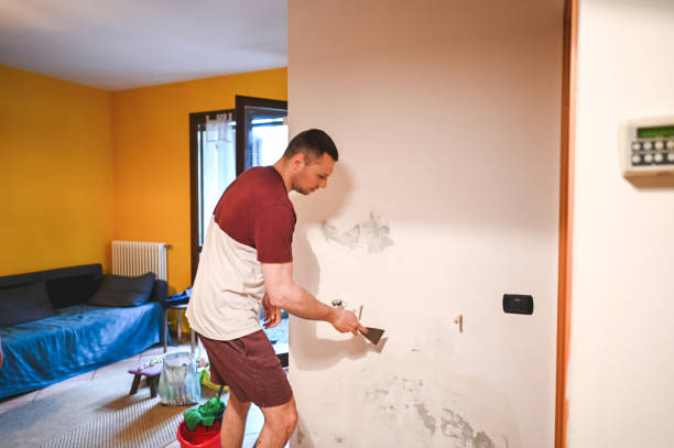 Best Mold Remediation Experts  in Molalla, OR
